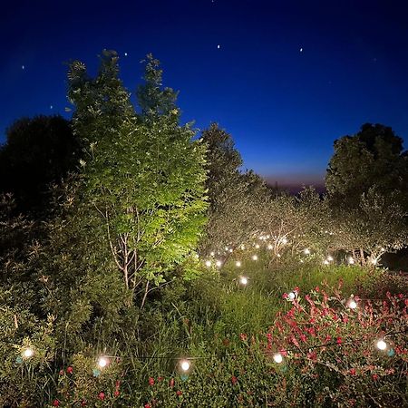 Отель Glamping San Bart Сан-Винченцо Экстерьер фото