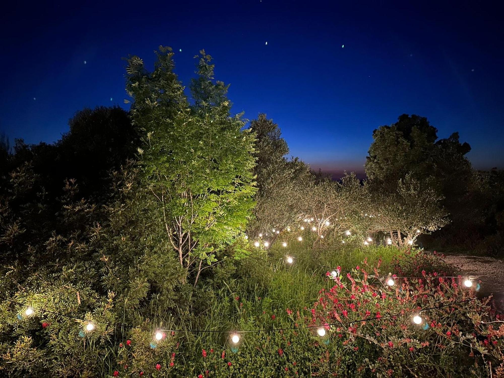 Отель Glamping San Bart Сан-Винченцо Экстерьер фото